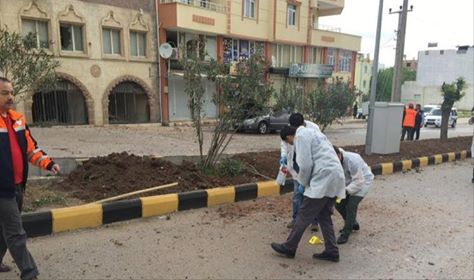 12987074_478553205682978_5657884360085327886_n