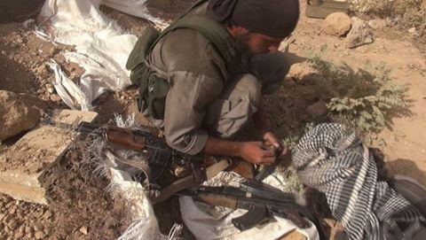 12993362_481766822014403_2059550843735619046_n