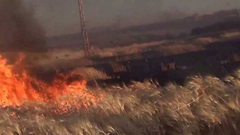 13256456_492277720963313_5427537379062673334_n