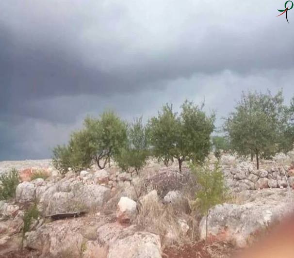 13312788_1104596619611357_108341311029375001_n1-BorderMaker