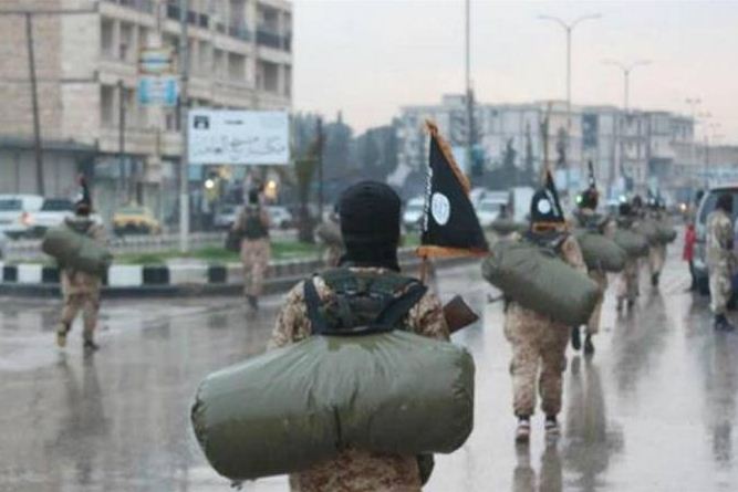 13882604_1077501305665257_3709959189912492427_n