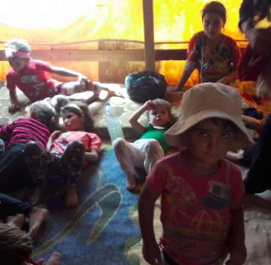 14095982_531708177020267_9003896831483721161_n