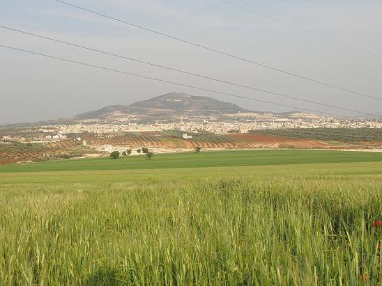 14233084_1095417877206933_8535194636513245500_n