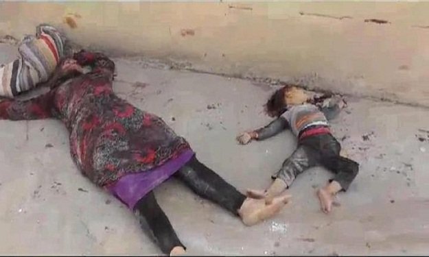 269356_259145380853985_1937874527_n_201291711519