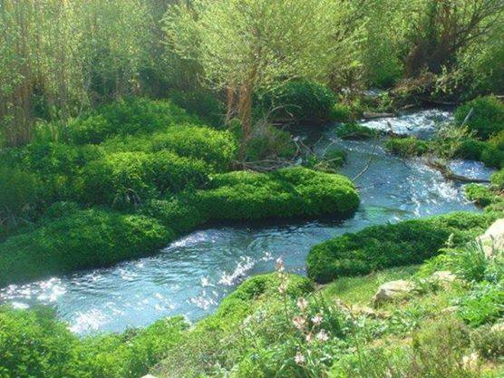 14572349_350923225250625_5725236012236507063_n